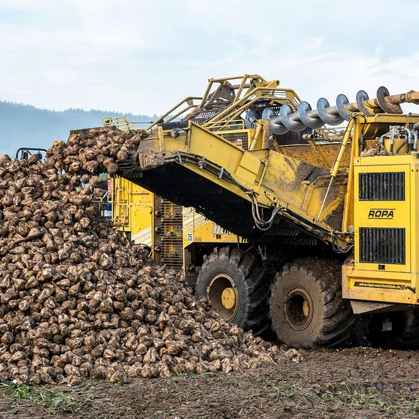 炸金花应用老虎机